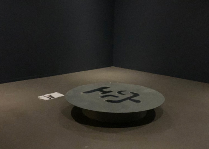 Vancouver Special: Disorientations and Echo, Vancouver Art Gallery, 2021-2022